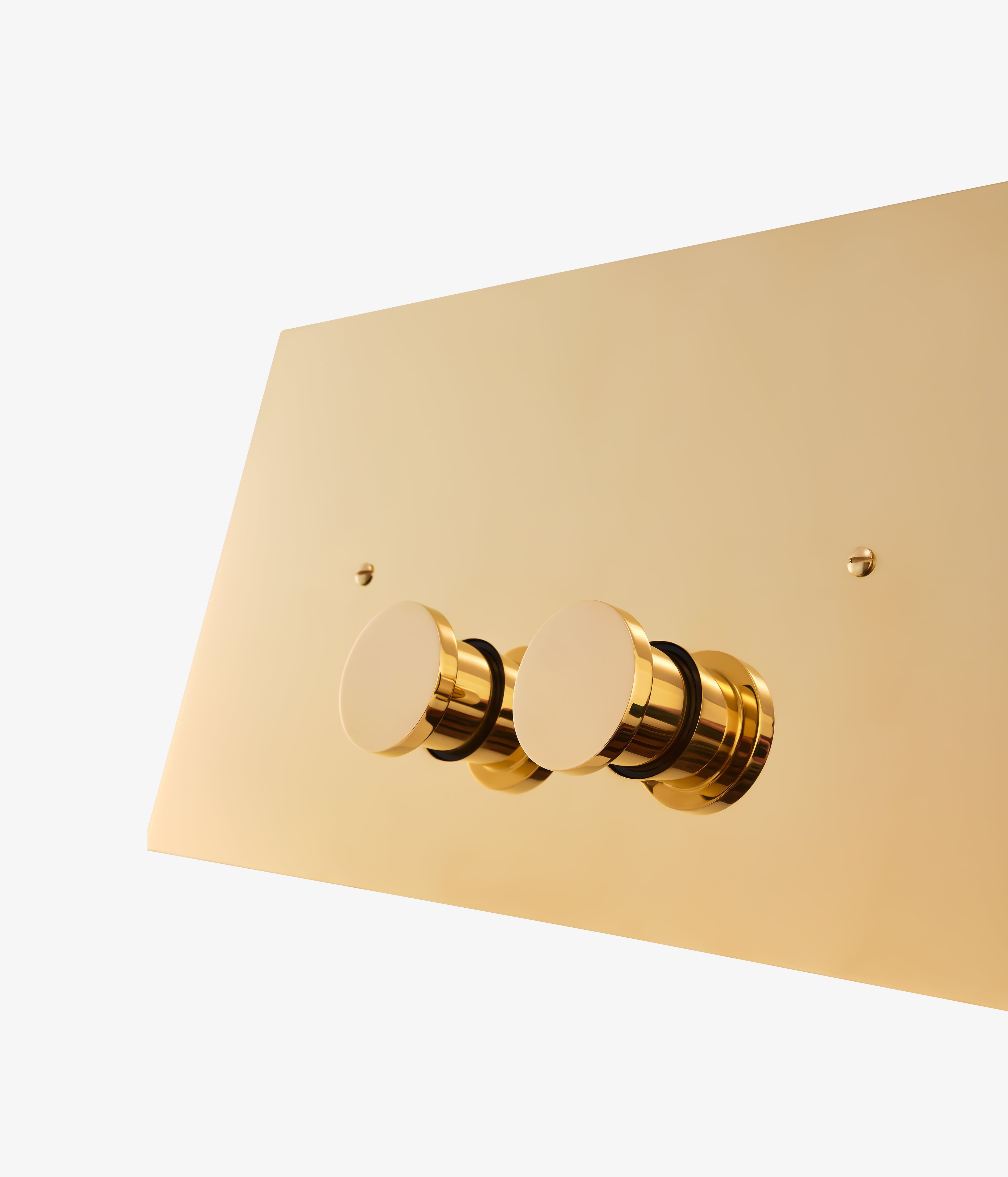 Farfalla Flush Plate