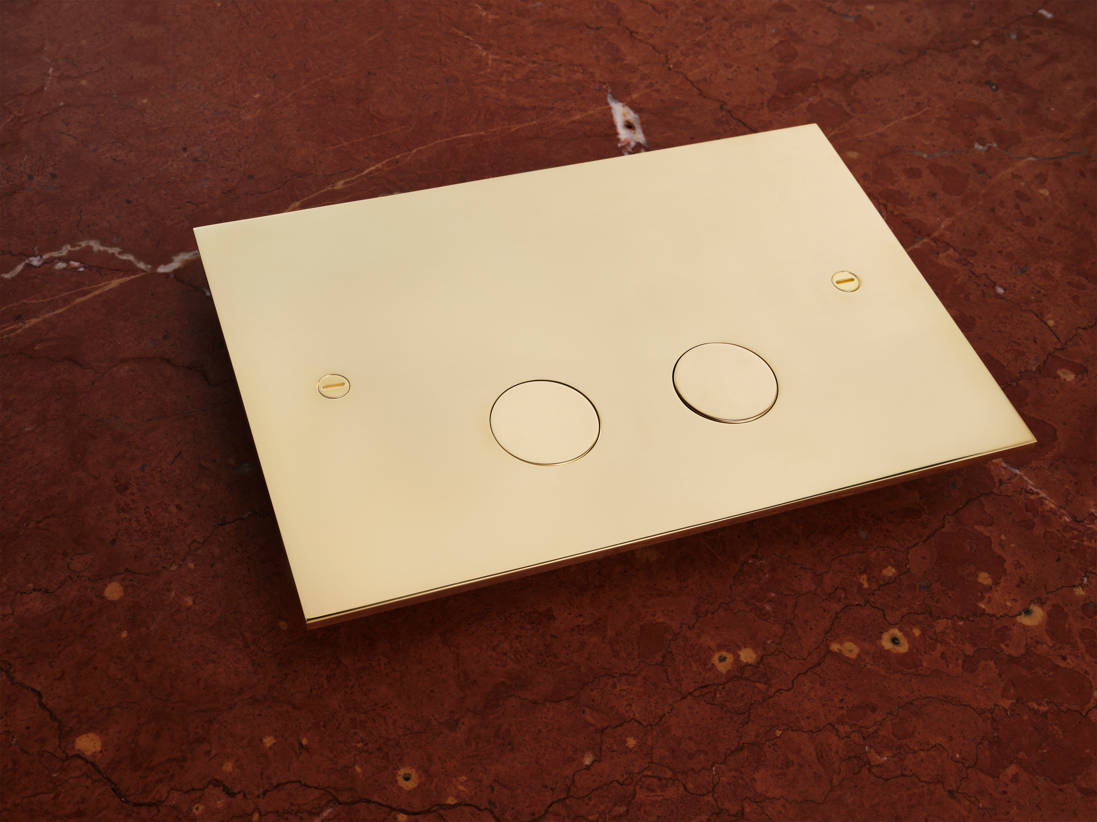 Nuvola Flush Plate
